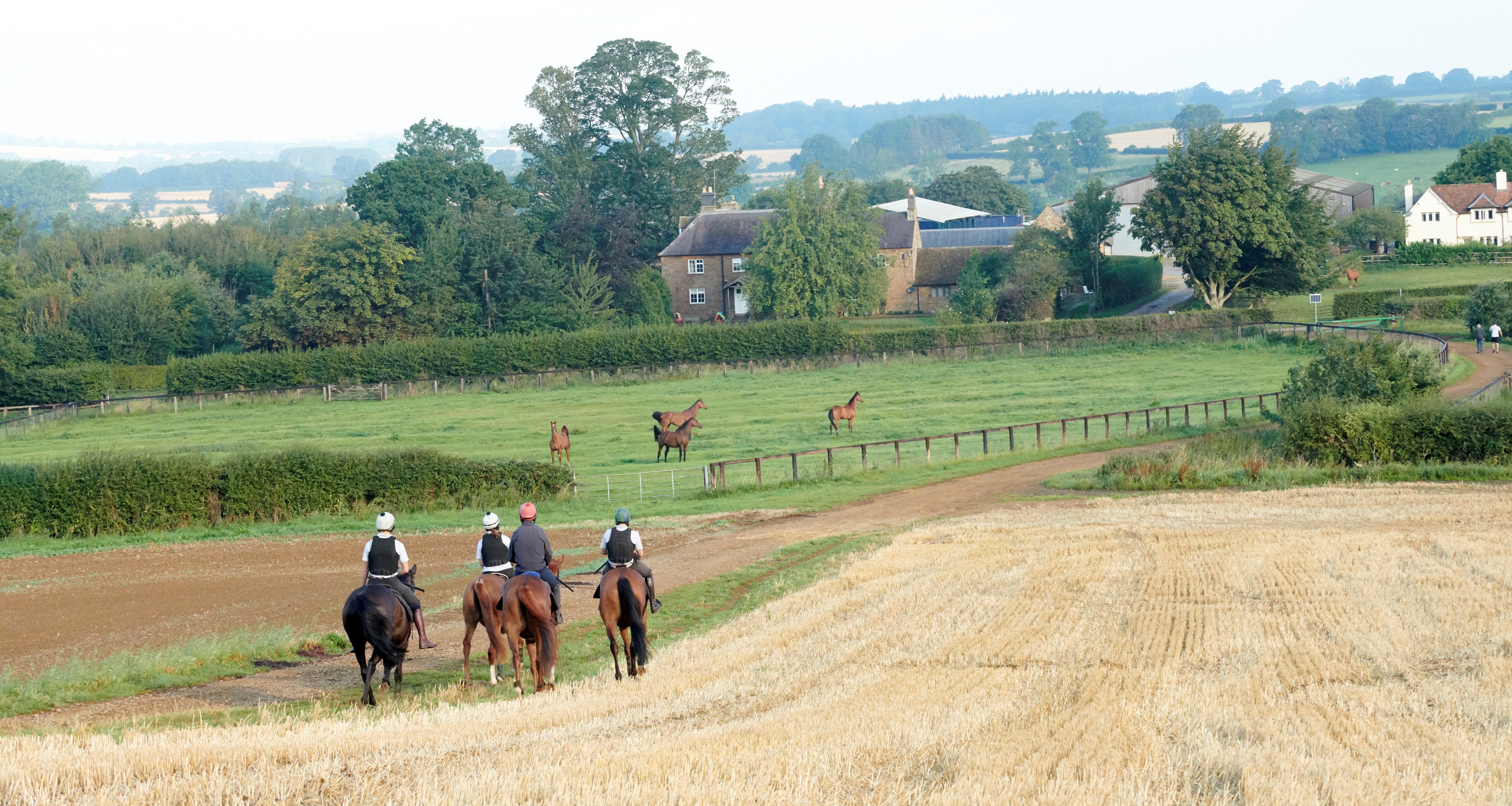 Equine Performance Vets